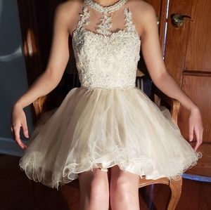 Champagne Knee Length Dress